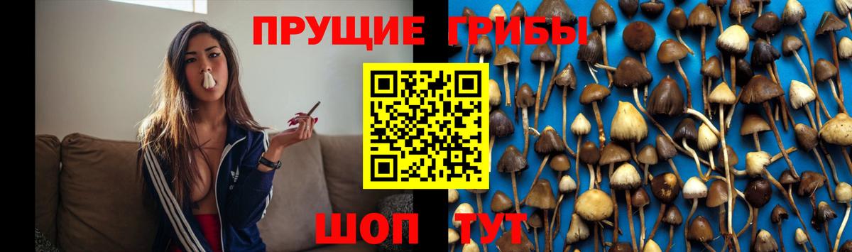 Галлюциногенные грибы прущие грибы  Вход с VPN  Алапаевск 